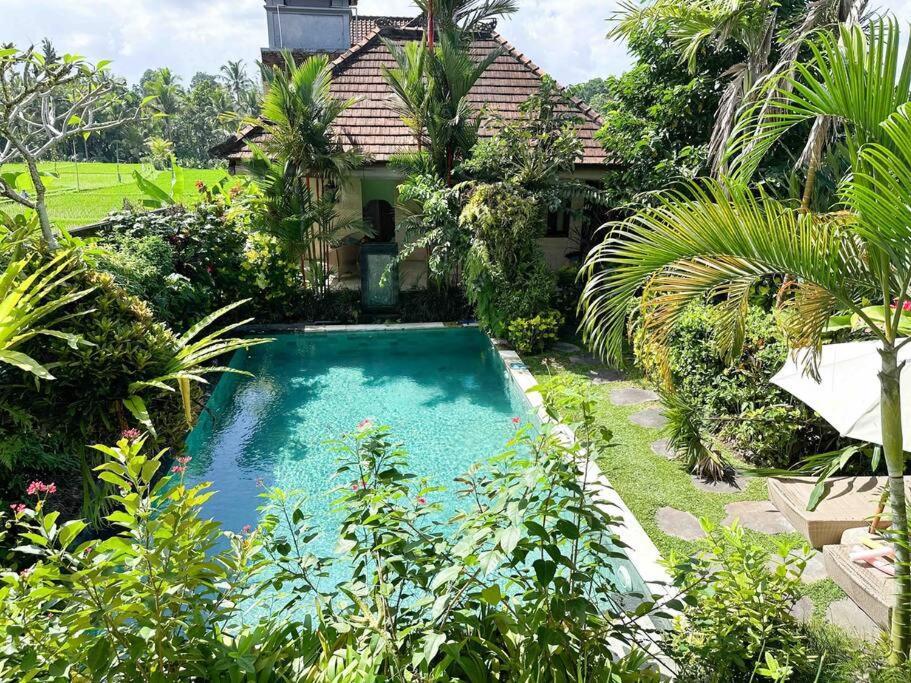 Beautiful In Center With Pool *