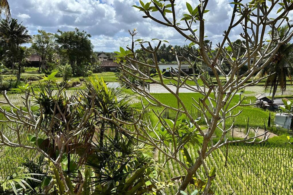 Pousada Beautiful Private Pool Walk To Town Center Sunrise Views *