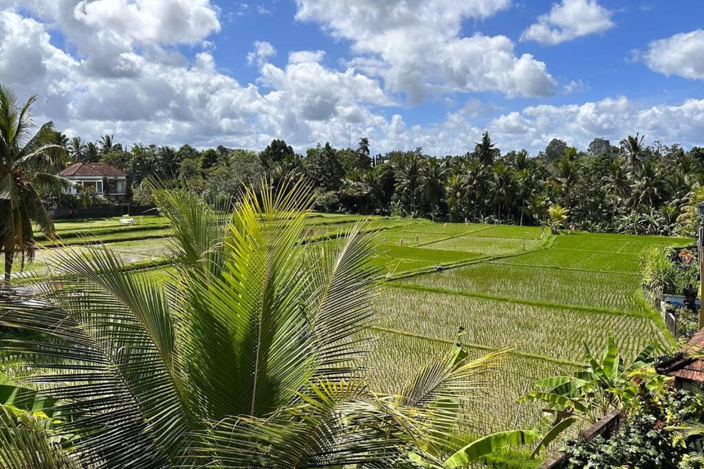 Pousada Beautiful Private Pool Walk To Town Center Sunrise Views *