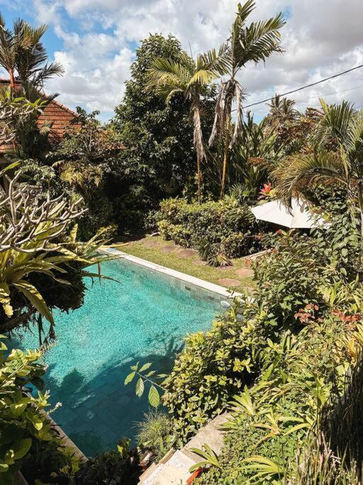 Beautiful Private Pool Walk To Town Center Sunrise Views * Ubud