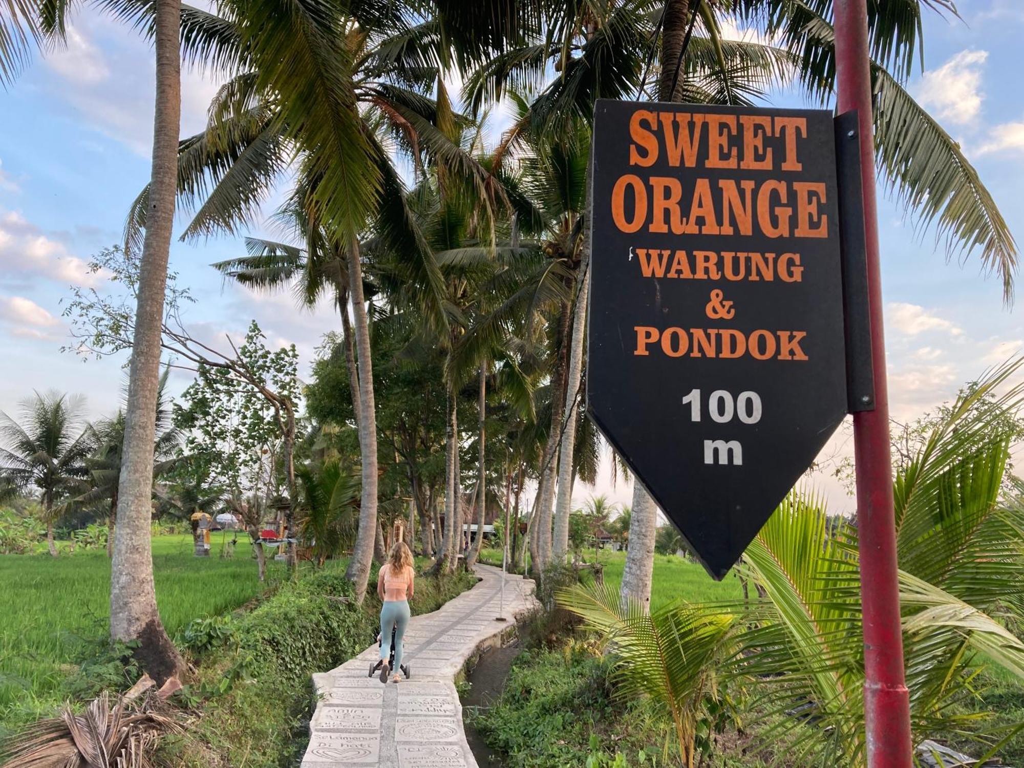Beautiful Private Pool Walk To Town Center Sunrise Views * Ubud