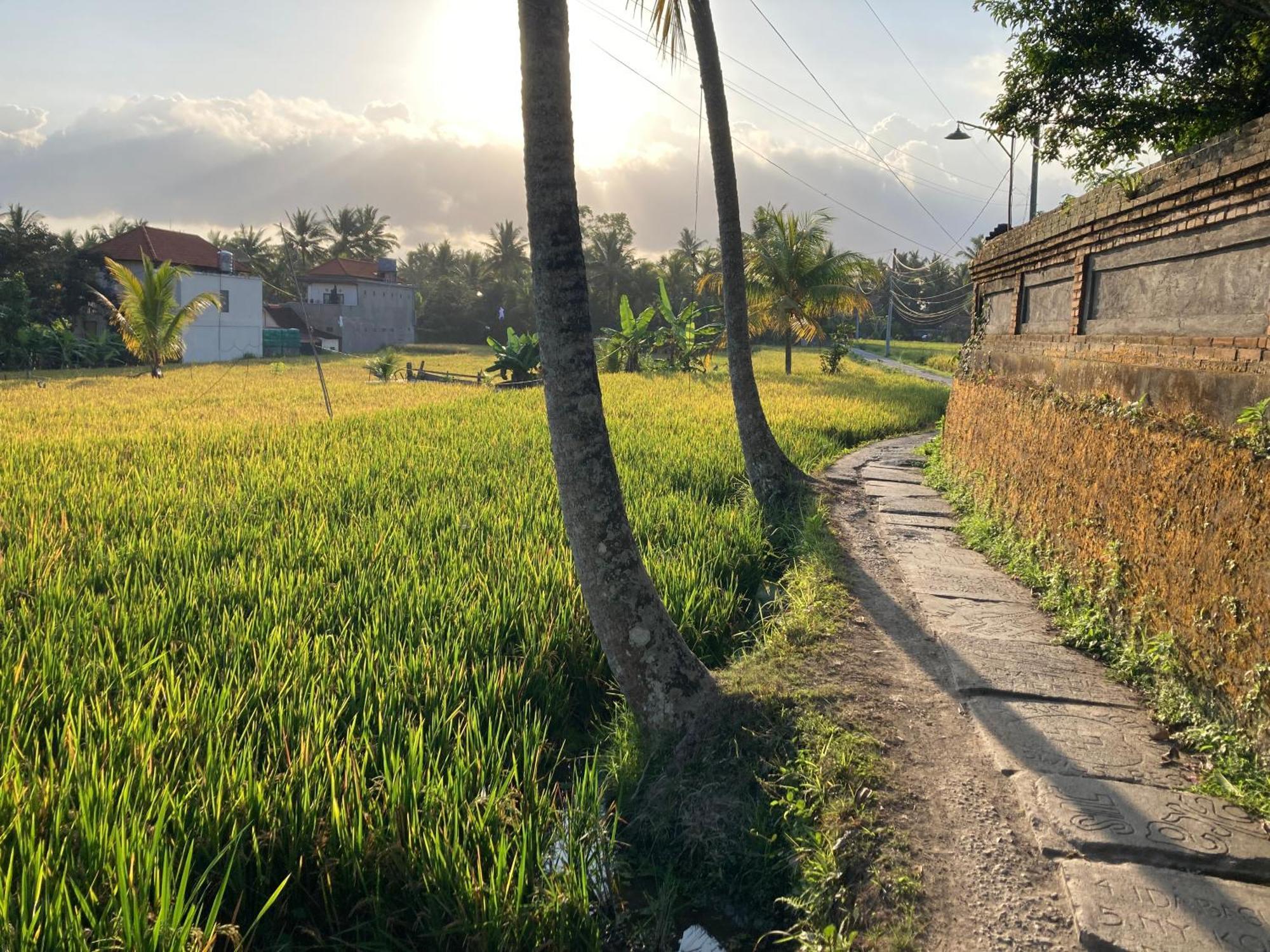 Beautiful Private Pool Walk To Town Center Sunrise Views Pousada